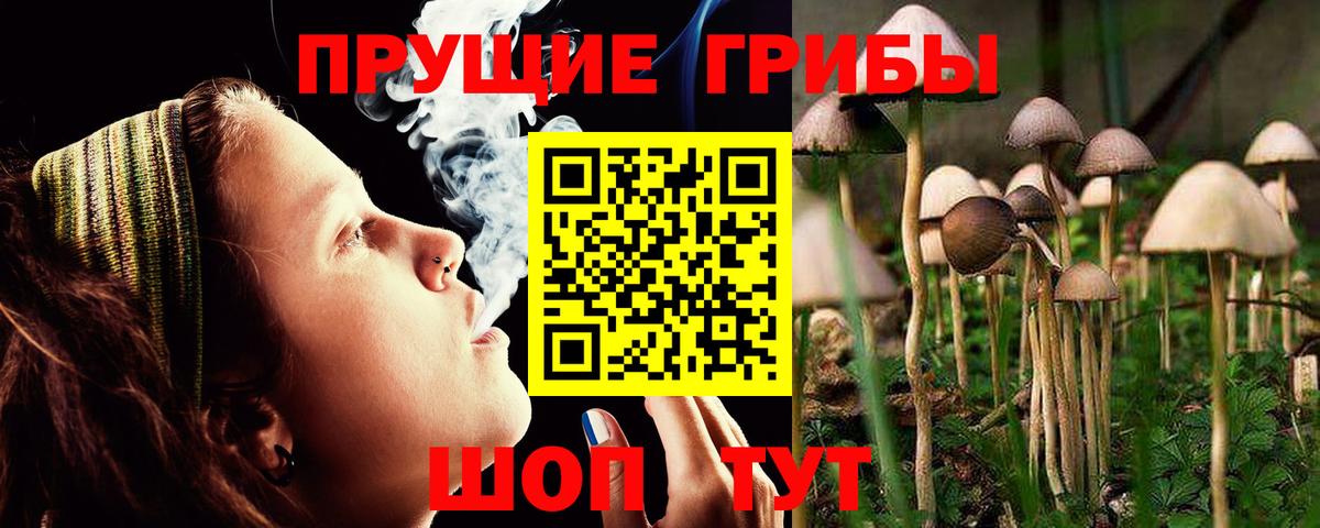 Галлюциногенные грибы мухоморы  Псилоцибиновые грибы прущие грибы  продажа наркотиков  Вход с VPN  Губкинский 